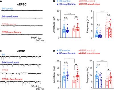 General Anesthesia During Neurodevelopment Reduces Autistic Behavior in Adult BTBR Mice, a Murine Model of Autism